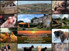 Stones Cottage Farm, nr Haworth, family friendly, work friendly, gaming barn, crafting, free wifi, free parking, EV point